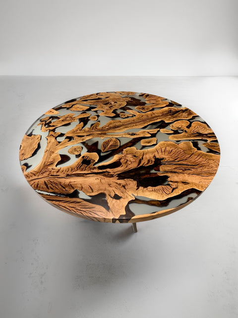 Round table from rare oak roots with matte resin Tondo