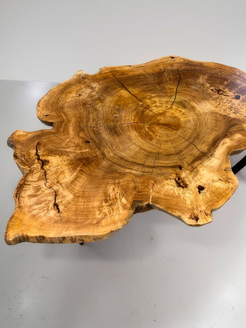 Couchtisch massiv Charmant aus einer Pappel-Baumscheibe, mit transparentem Epoxidharz 