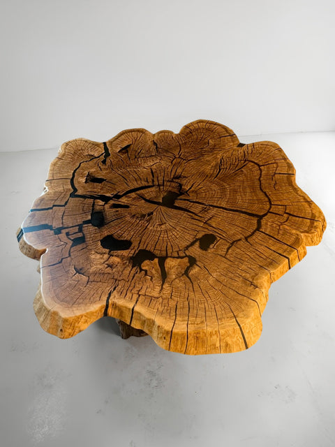 Organic coffee table from oak roots with smoky matte resin Vista