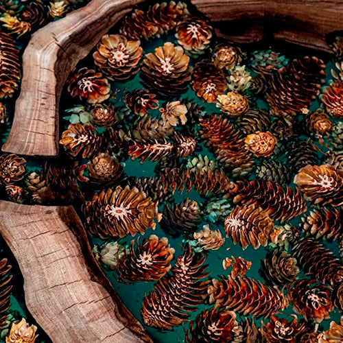 Green transparent with pine cones